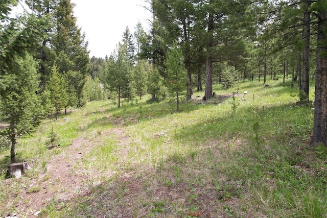 NHN Osprey Rd, Helmville, MT 59843