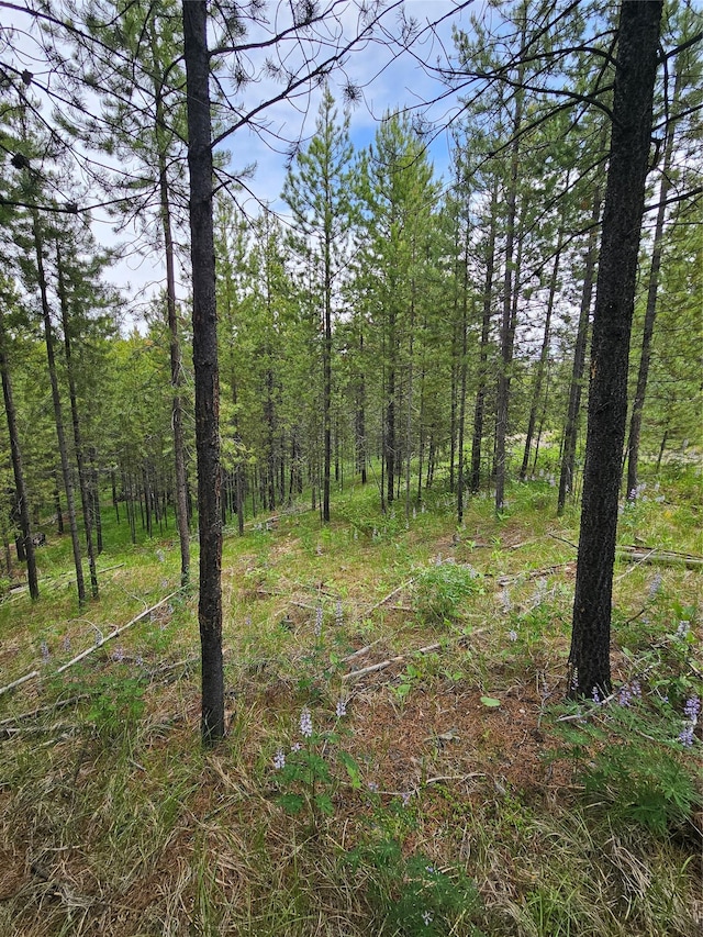 NHN Osprey Rd, Helmville, MT 59843