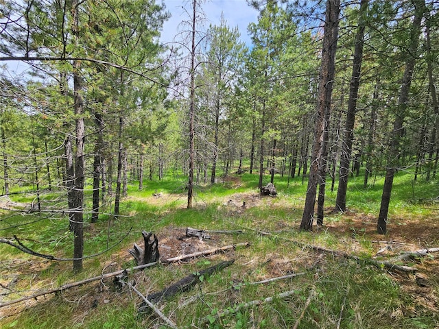NHN Osprey Rd, Helmville, MT 59843