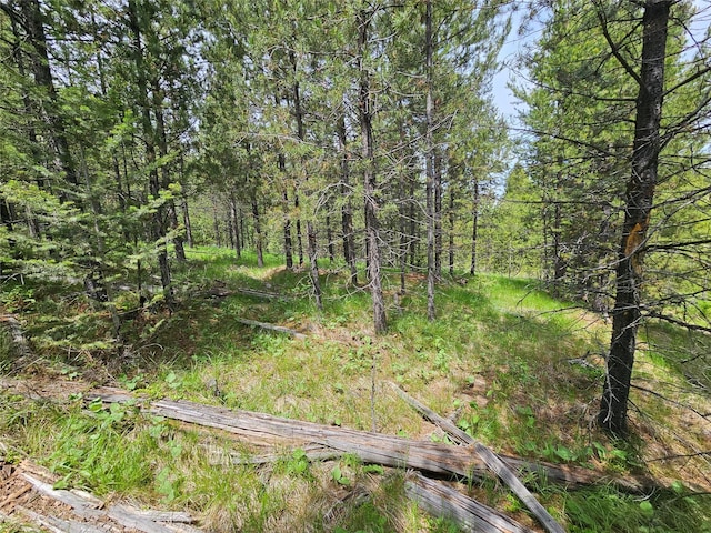 NHN Osprey Rd, Helmville, MT 59843
