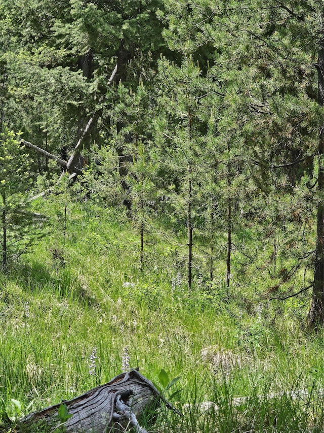 NHN Osprey Rd, Helmville, MT 59843