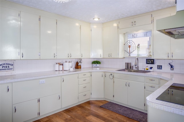 1508 Lolo Ave, Libby, MT 59923 - kitchen with extractor fan, tasteful backsplash, light countertops, wood finished floors, and black electric stovetop