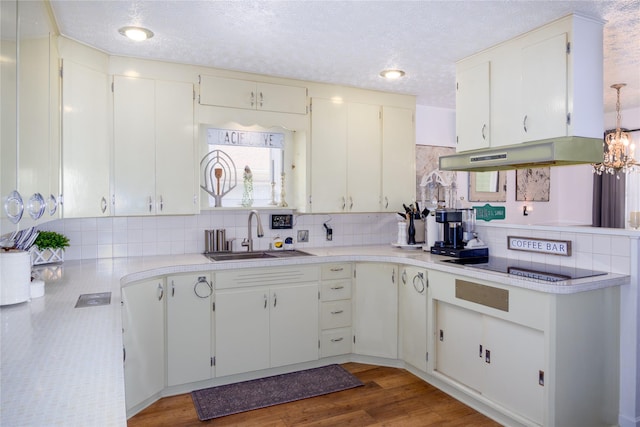1508 Lolo Ave, Libby, MT 59923 - kitchen featuring under cabinet range hood, decorative backsplash, light countertops, wood finished floors, and black electric cooktop