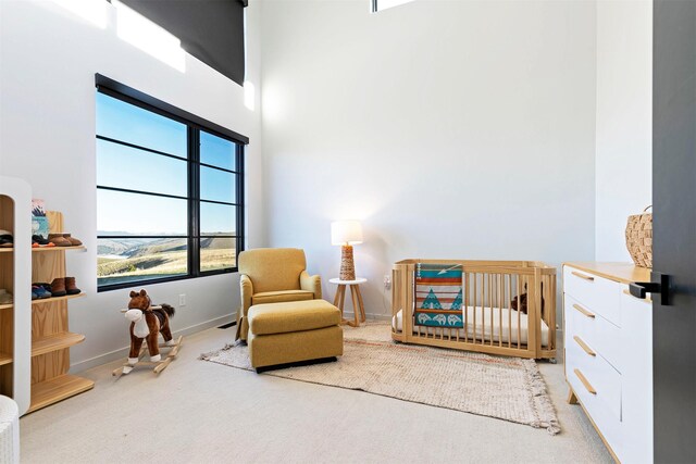 4722 Skalkaho Rd, Philipsburg, MT 59858 - bedroom featuring a nursery area and carpet flooring