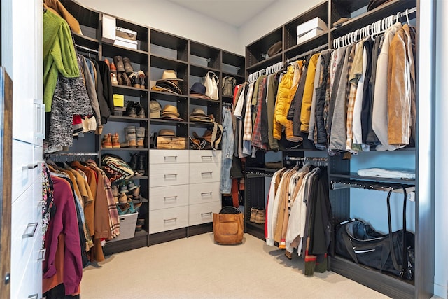 4722 Skalkaho Rd, Philipsburg, MT 59858 - spacious closet featuring carpet floors