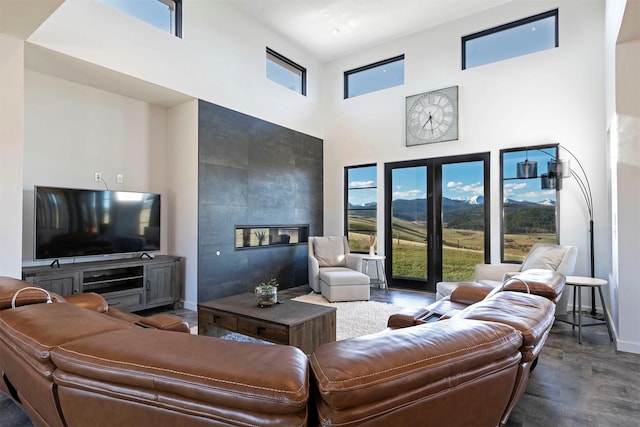 4722 Skalkaho Rd, Philipsburg, MT 59858 - living area featuring a high ceiling, wood finished floors, and a glass covered fireplace