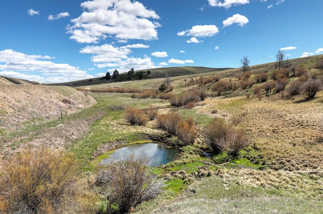 4722 Skalkaho Rd, Philipsburg, MT 59858 - mountain view