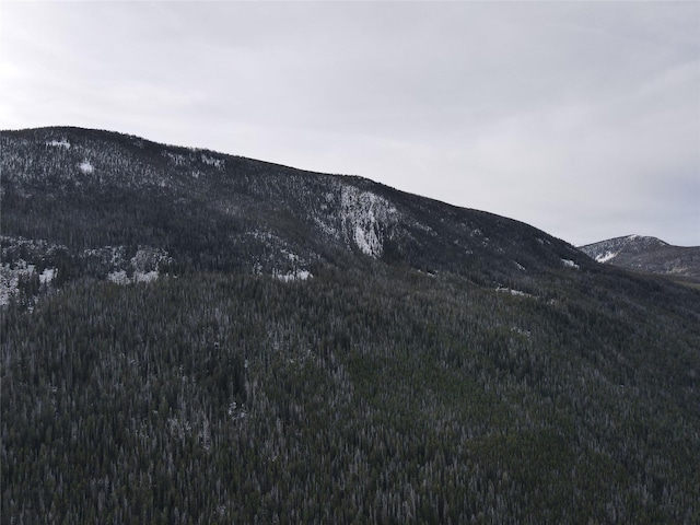 NHN Racetrack Rd, Deer Lodge, MT 59722