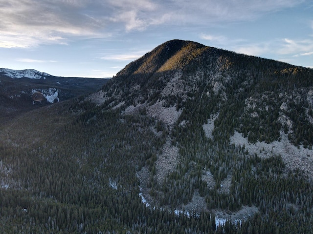 NHN Racetrack Rd, Deer Lodge, MT 59722
