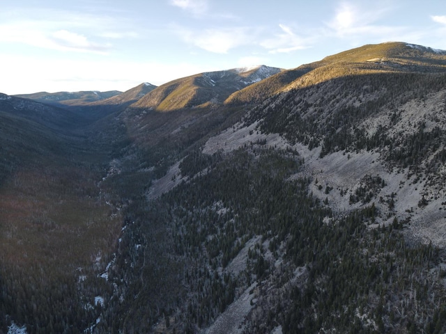NHN Racetrack Rd, Deer Lodge, MT 59722
