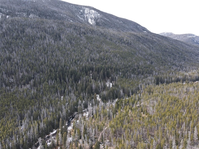 NHN Racetrack Rd, Deer Lodge, MT 59722