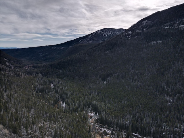 NHN Racetrack Rd, Deer Lodge, MT 59722
