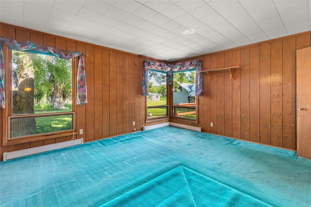 3101 Mt Highway 206, Columbia Falls, MT 59912 - carpeted empty room featuring a baseboard radiator, healthy amount of natural light, and wood walls