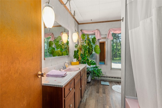 3101 Mt Highway 206, Columbia Falls, MT 59912 - full bathroom featuring baseboard heating, vanity, wood finished floors, and shower / tub combo with curtain
