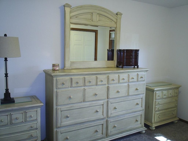 2424 Teakwood Ln, Helena, MT 59601 - detailed view of carpet