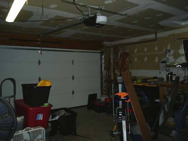 2424 Teakwood Ln, Helena, MT 59601 - garage featuring a garage door opener and a workshop area