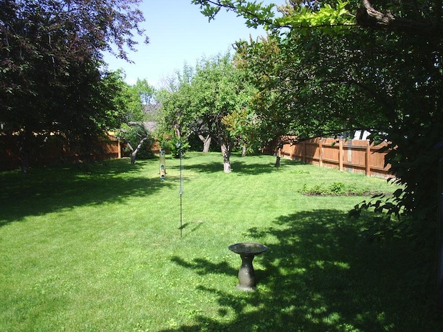 2424 Teakwood Ln, Helena, MT 59601 - view of yard
