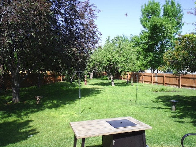 2424 Teakwood Ln, Helena, MT 59601 - view of fenced backyard