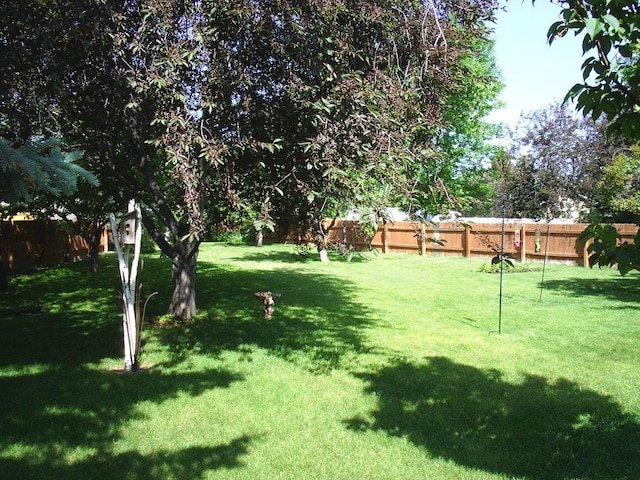 2424 Teakwood Ln, Helena, MT 59601 - view of fenced backyard