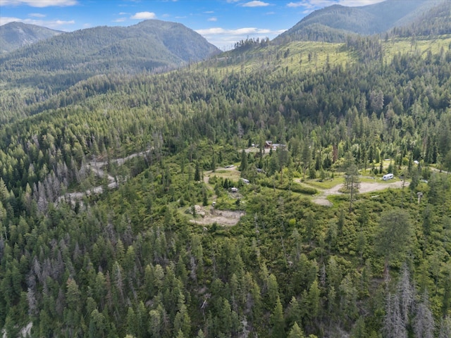 NHN Doe Run Trail, Polson, MT 59860 - mountain view featuring a heavily wooded area