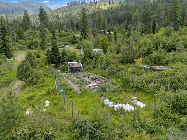NHN Doe Run Trail, Polson, MT 59860 - aerial view of a forest and a mountainous background