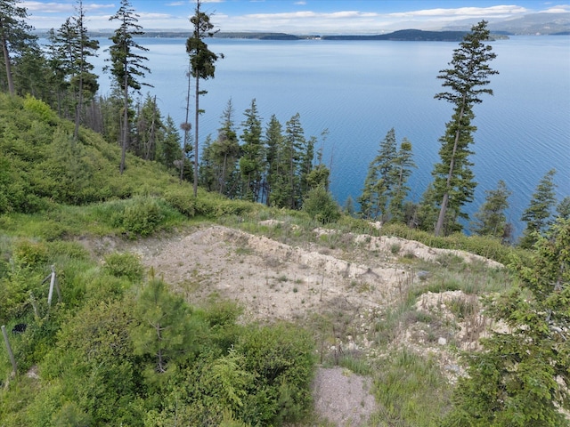 NHN Doe Run Trail, Polson, MT 59860 - water view