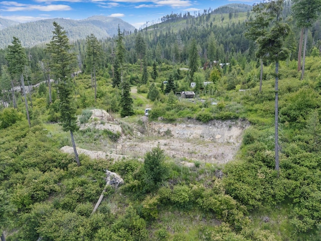 NHN Doe Run Trail, Polson, MT 59860 - view of mountain background featuring a heavily wooded area