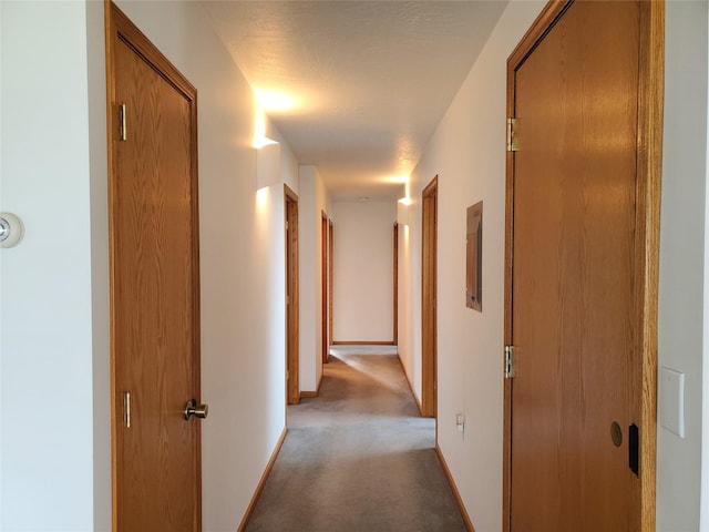 650 Hollibaugh Rd, Stevensville, MT 59870 - corridor featuring light colored carpet and baseboards