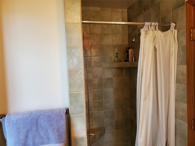 650 Hollibaugh Rd, Stevensville, MT 59870 - bathroom with tiled shower