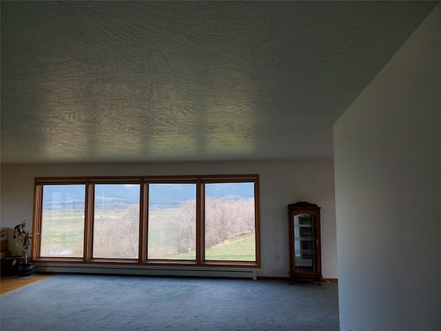 650 Hollibaugh Rd, Stevensville, MT 59870 - carpeted spare room featuring a textured ceiling and a baseboard heating unit