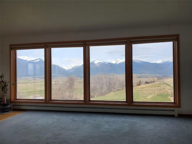 650 Hollibaugh Rd, Stevensville, MT 59870 - additional living space featuring a baseboard radiator, carpet floors, and a mountain view