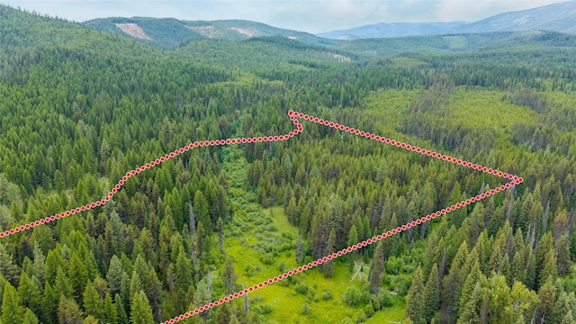 6343 Packer Creek Rd, Haugan, MT 59842 - view of property location featuring a heavily wooded area and property parcel outlined