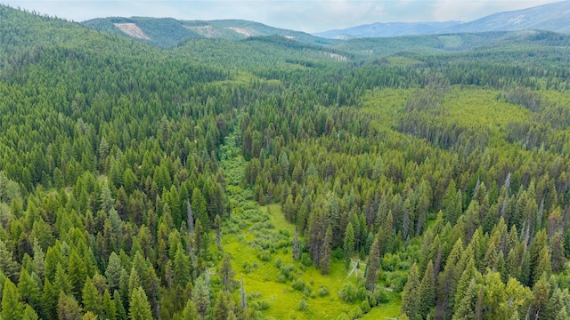 6343 Packer Creek Rd, Haugan, MT 59842 - view of mountain background with a heavily wooded area