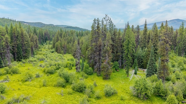 6343 Packer Creek Rd, Haugan, MT 59842 - mountain view with a heavily wooded area
