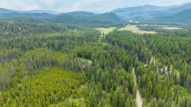 6343 Packer Creek Rd, Haugan, MT 59842 - view of mountain backdrop featuring a heavily wooded area