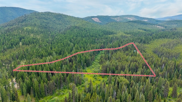 6343 Packer Creek Rd, Haugan, MT 59842 - view of property location with a mountain backdrop and property parcel outlined