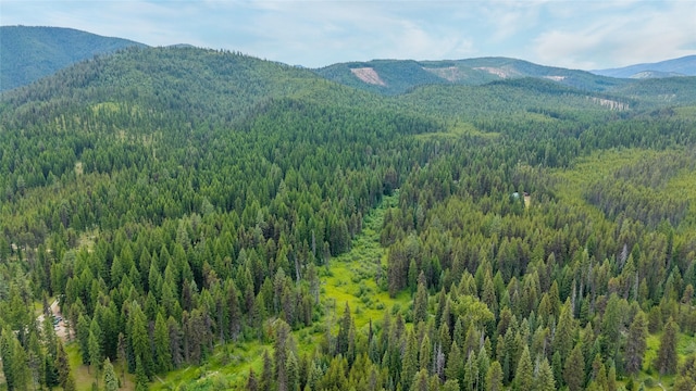 6343 Packer Creek Rd, Haugan, MT 59842 - view of mountain backdrop featuring a heavily wooded area
