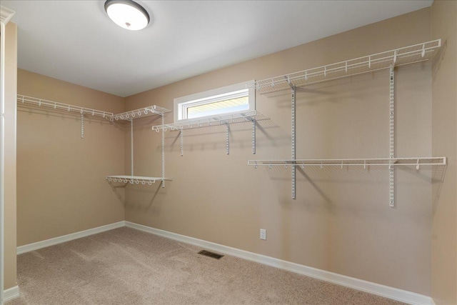 40 Butch Cassidy Loop, Great Falls, MT 59405 - walk in closet with carpet flooring