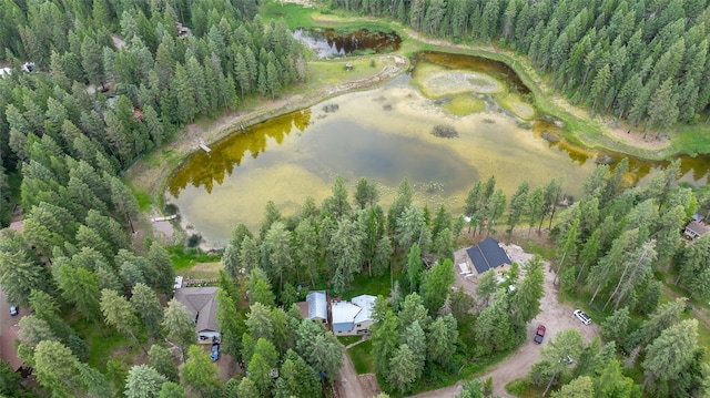 155 Lake Peter Ct, Kalispell, MT 59901 - view of property location with a large body of water and a forest