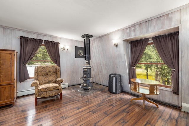 155 Lake Peter Ct, Kalispell, MT 59901 - living area with hardwood / wood-style flooring, a baseboard radiator, and wood walls