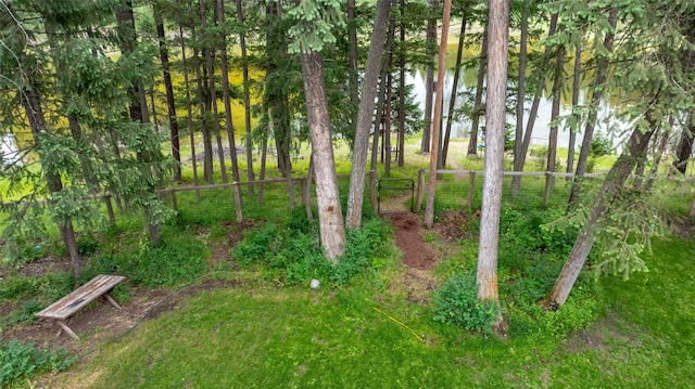 155 Lake Peter Ct, Kalispell, MT 59901 - view of yard with a water view and a gate