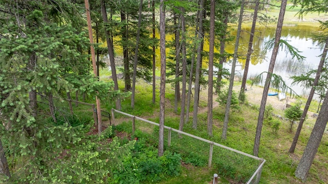 155 Lake Peter Ct, Kalispell, MT 59901 - view of yard with a water view
