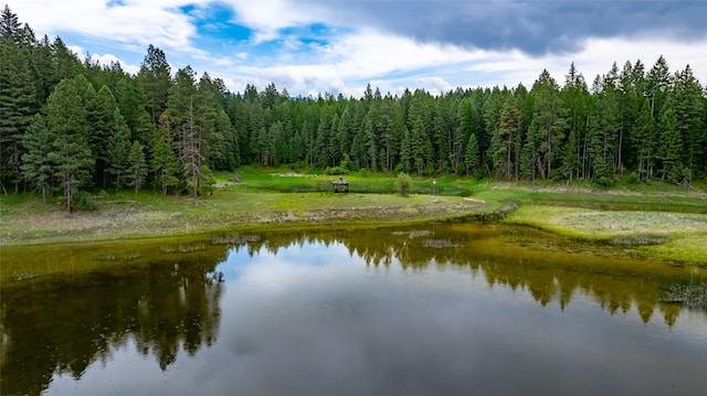 155 Lake Peter Ct, Kalispell, MT 59901 - water view featuring a heavily wooded area