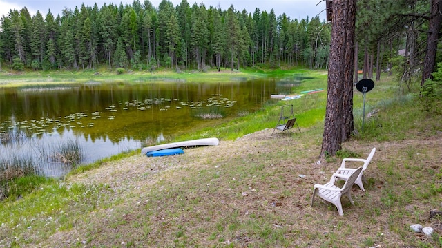 155 Lake Peter Ct, Kalispell, MT 59901 - view of yard featuring a wooded view and a water view