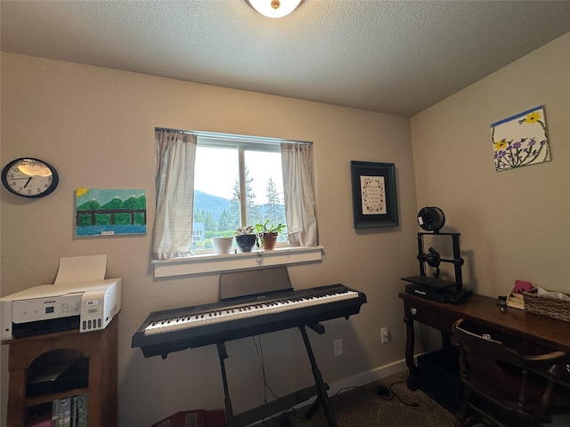 86 Steamboat Way W, Thompson Falls, MT 59873 - misc room featuring carpet and a textured ceiling