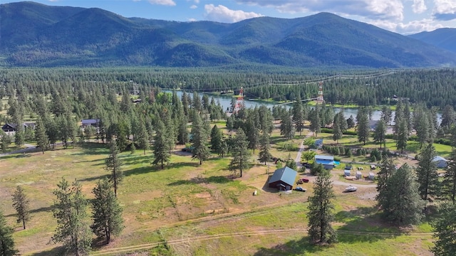 86 Steamboat Way W, Thompson Falls, MT 59873 - view of mountain backdrop with a forest and a nearby body of water