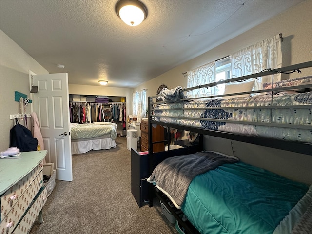 86 Steamboat Way W, Thompson Falls, MT 59873 - bedroom featuring carpet flooring, a textured ceiling, and a closet