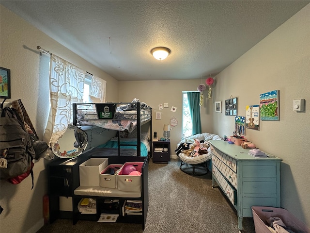 86 Steamboat Way W, Thompson Falls, MT 59873 - bedroom featuring carpet flooring, a textured ceiling, and a textured wall