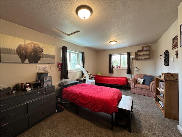 86 Steamboat Way W, Thompson Falls, MT 59873 - carpeted bedroom with attic access, multiple windows, and a textured ceiling