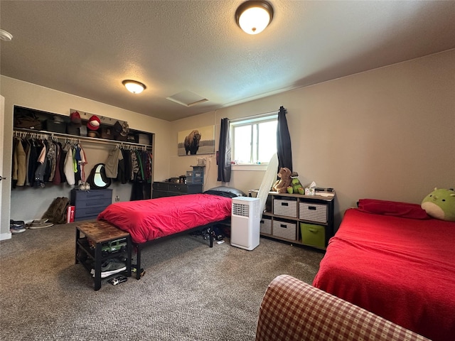 86 Steamboat Way W, Thompson Falls, MT 59873 - bedroom with attic access, a closet, carpet, and a textured ceiling